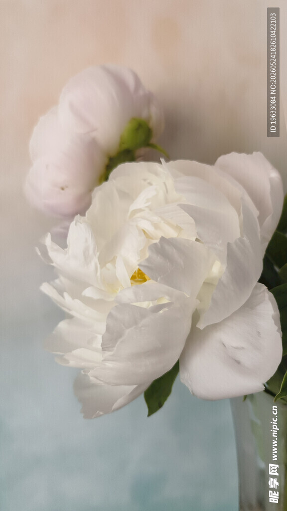 芍药花插花
