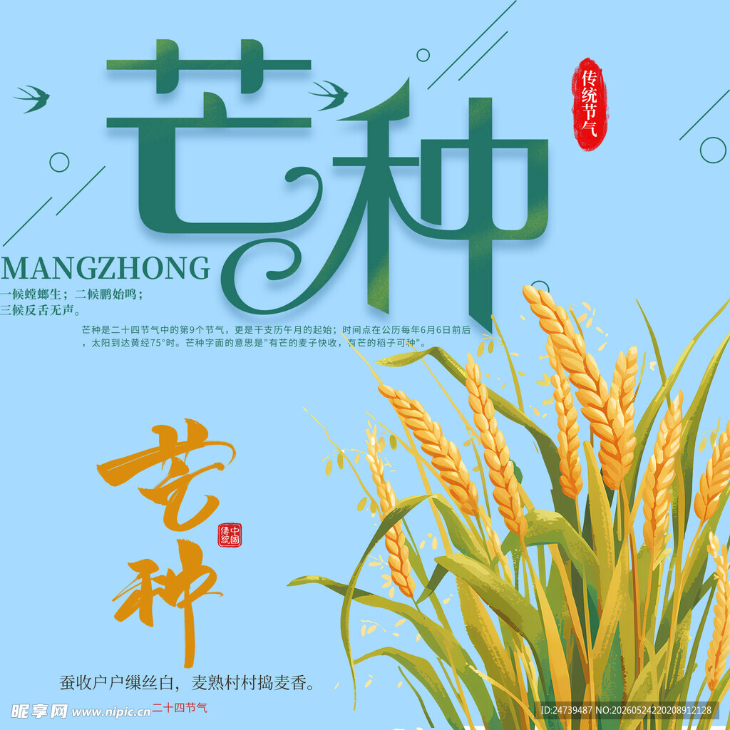 芒种素材