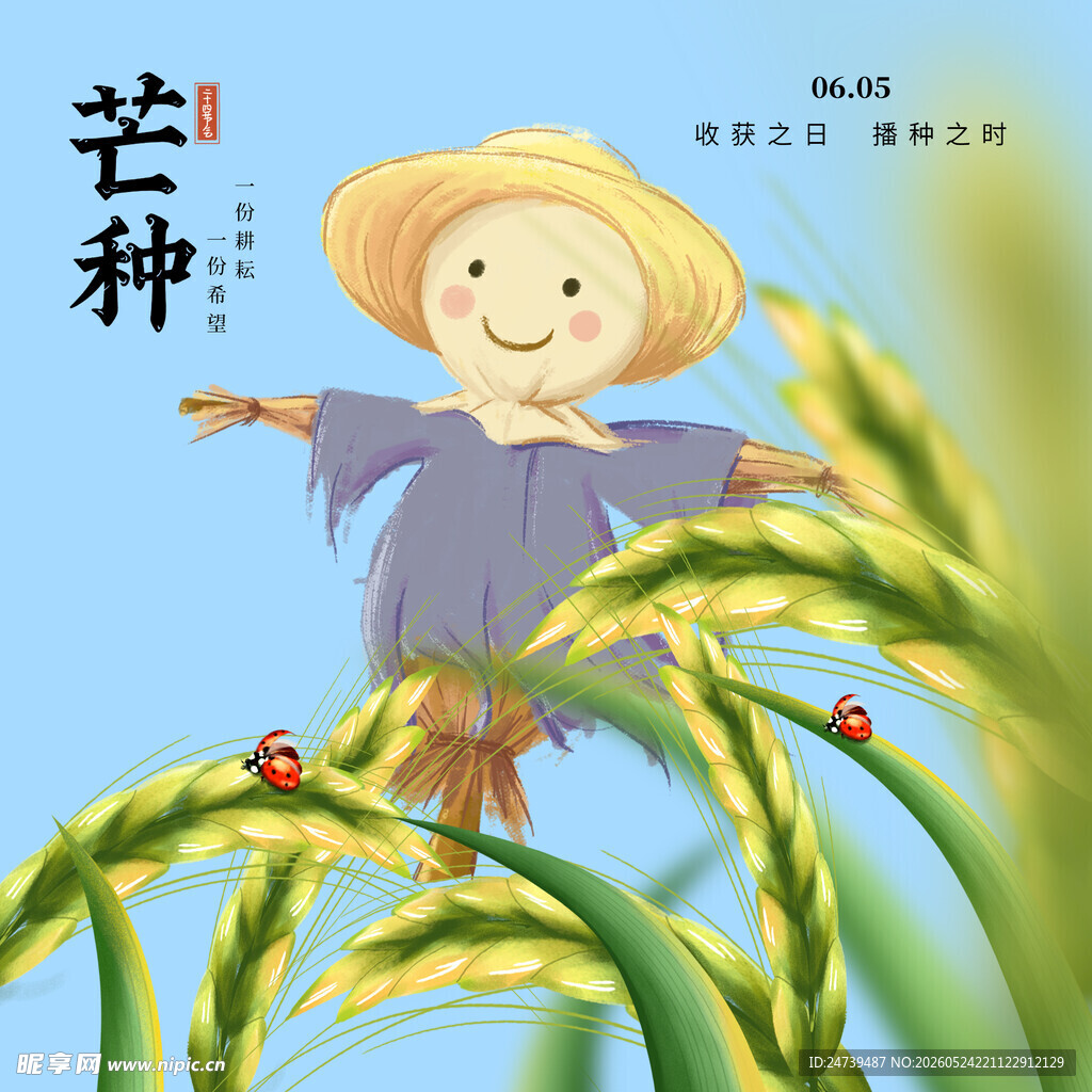 芒种素材