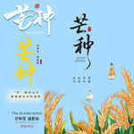 芒种素材