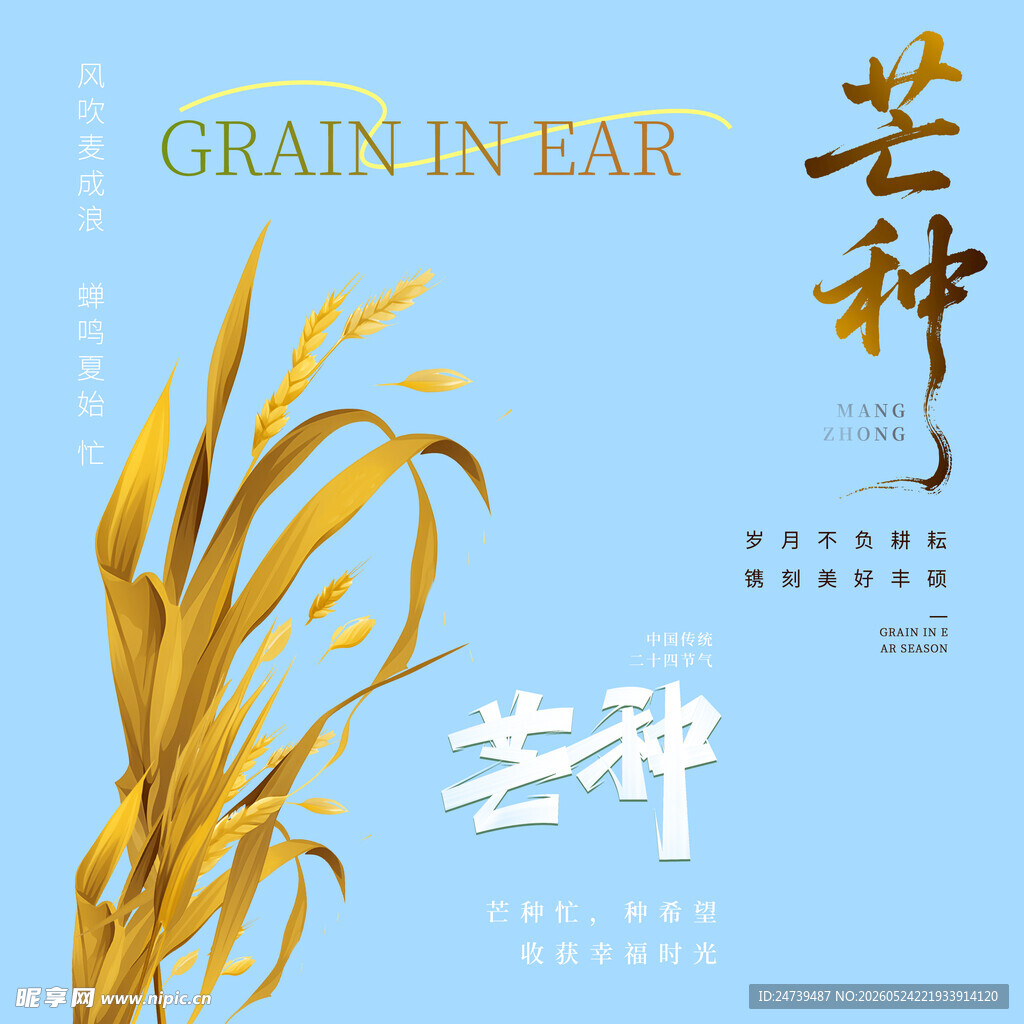 芒种素材