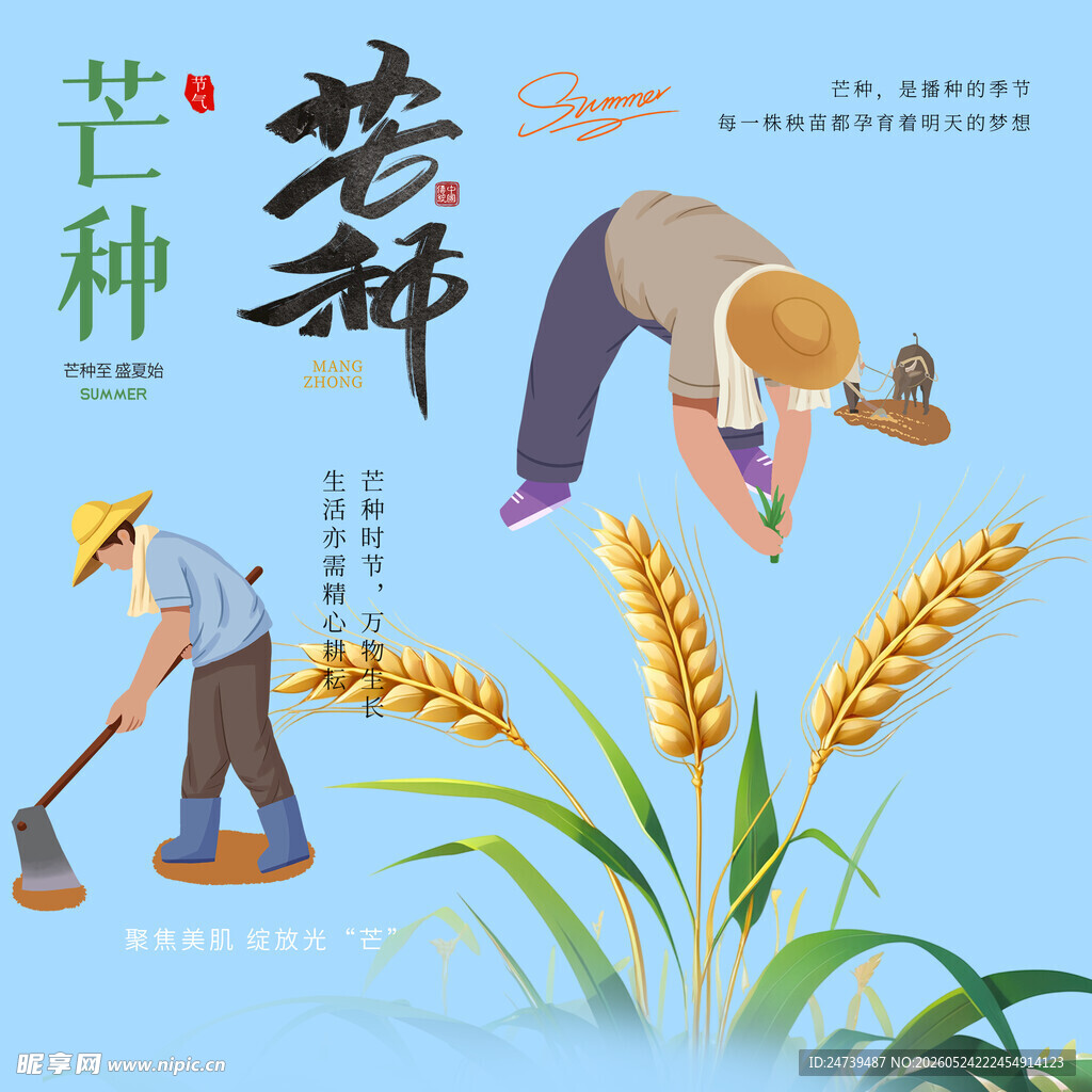 芒种素材