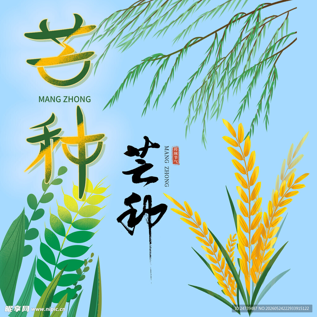 芒种素材