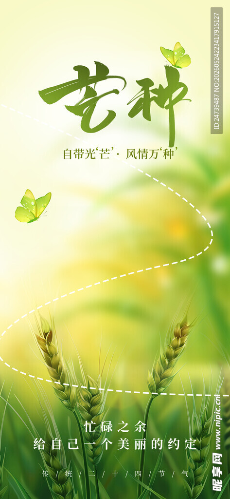 芒种海报