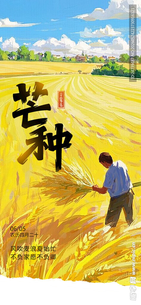 芒种海报