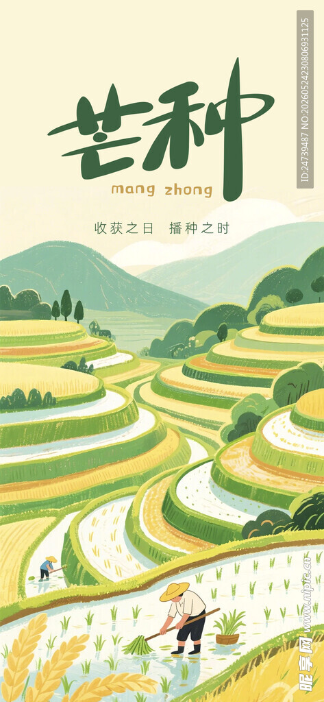 芒种海报