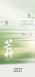 芒种海报