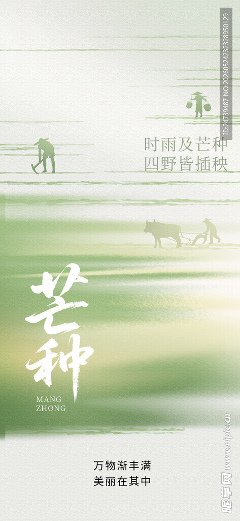 芒种海报