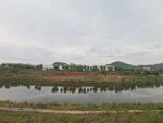 宁静湖边风景