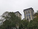 城市中绿树环绕的高楼
