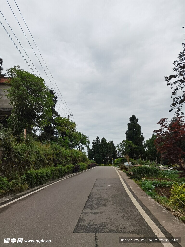 乡村宁静道路风景