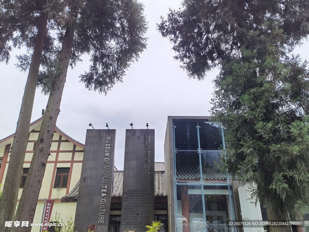 现代风格别墅与周边绿树