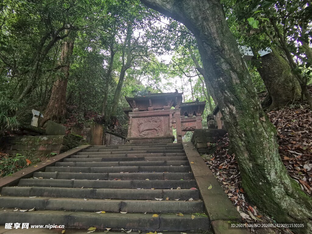 山林中的古朴石阶小道