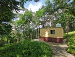 林间小屋自然静谧之景