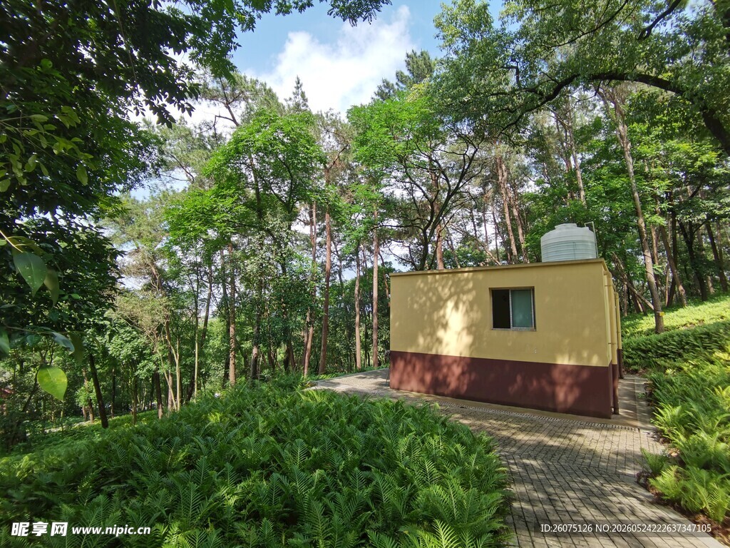 林间小屋自然静谧之景