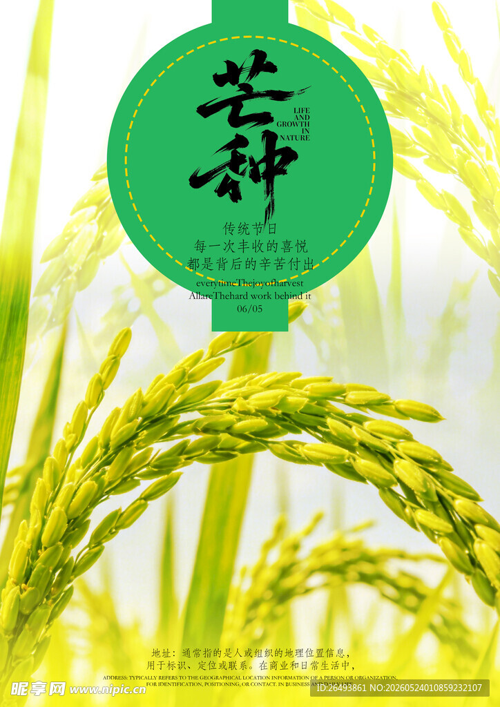 芒种海报 