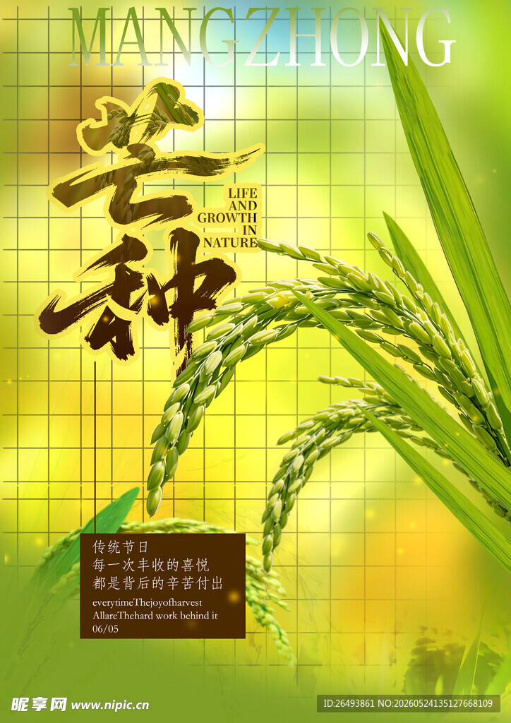 水稻海报