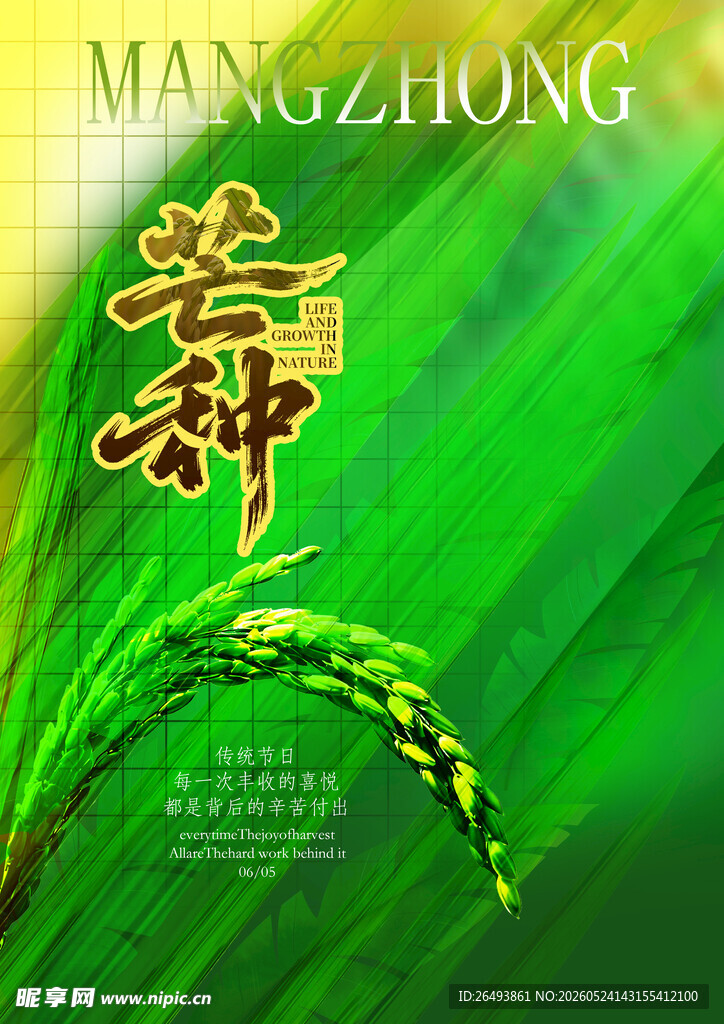 水稻海报