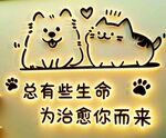 治愈系猫狗  生命的温柔陪伴