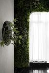室内绿植墙营造自然氛围