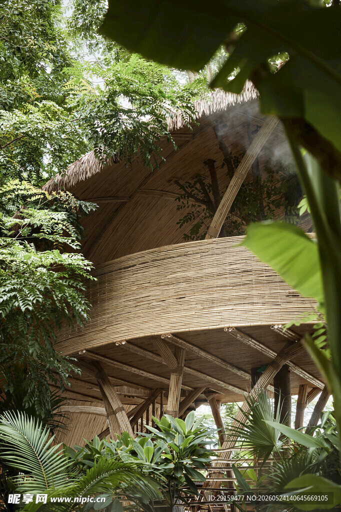 丛林中的独特木质小屋