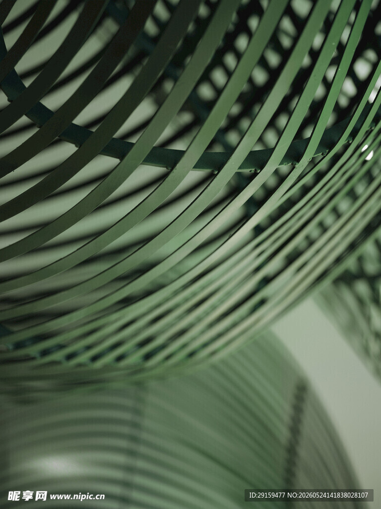 翠绿叶片纹理特写