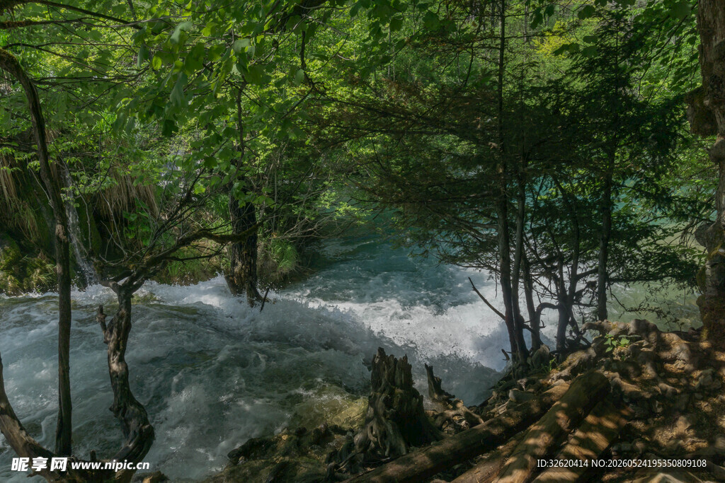山林间湍急溪流的美景
