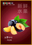 黑布林李子海报
