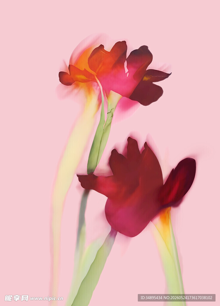定位花