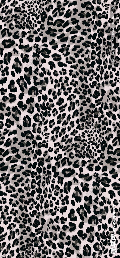 豹纹