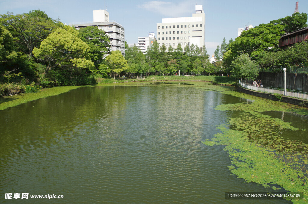 城市河畔绿意景观