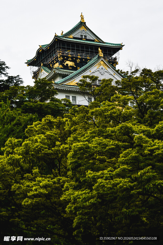 大阪城公园古建筑景观