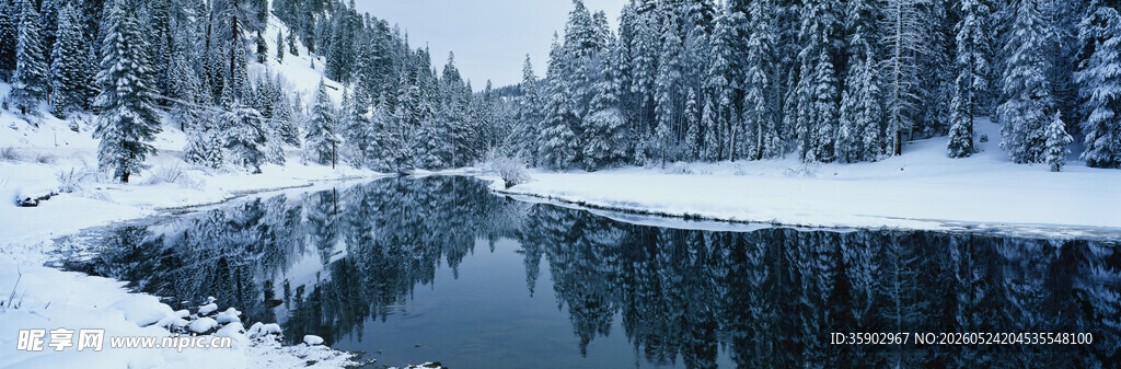 冬日雪覆湖畔静谧美景