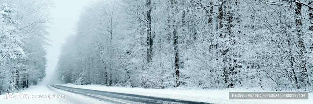 冬日雪覆公路树林银装素裹