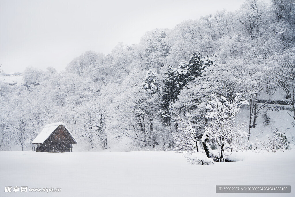 雪覆山林的静谧小屋