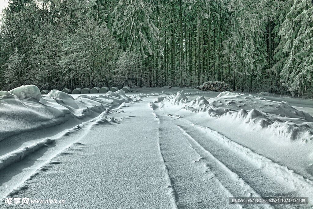 雪覆林间路
