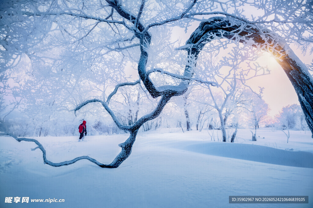雪境孤影冬日静谧之景