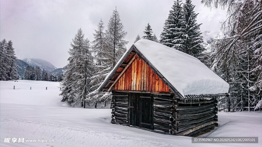 雪覆木屋冬日山林景致
