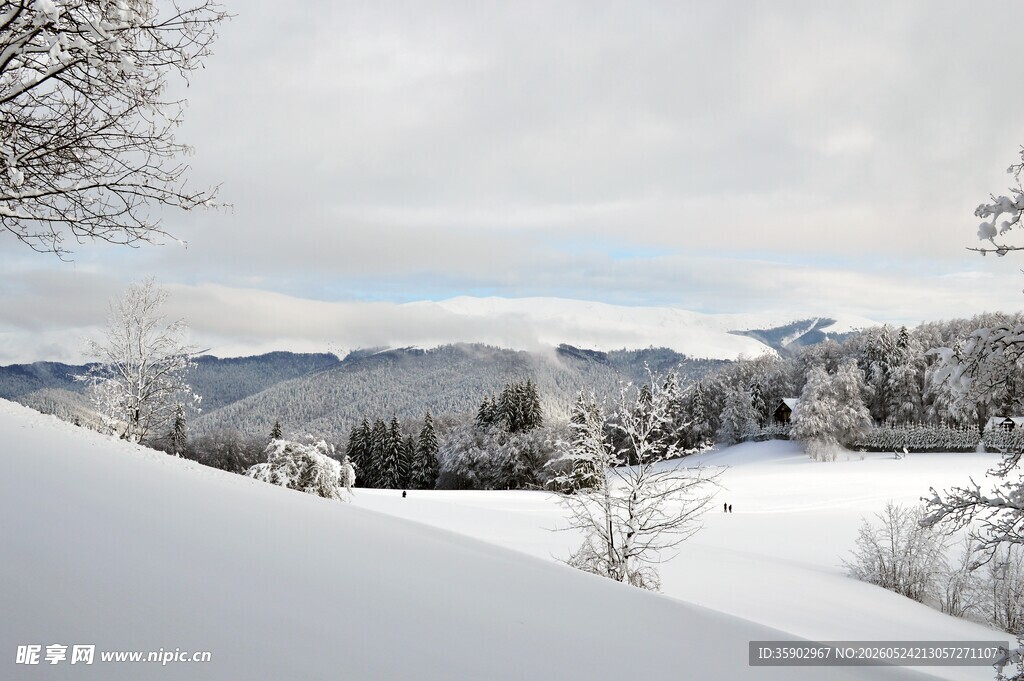 冬日雪景中的山峦与树木