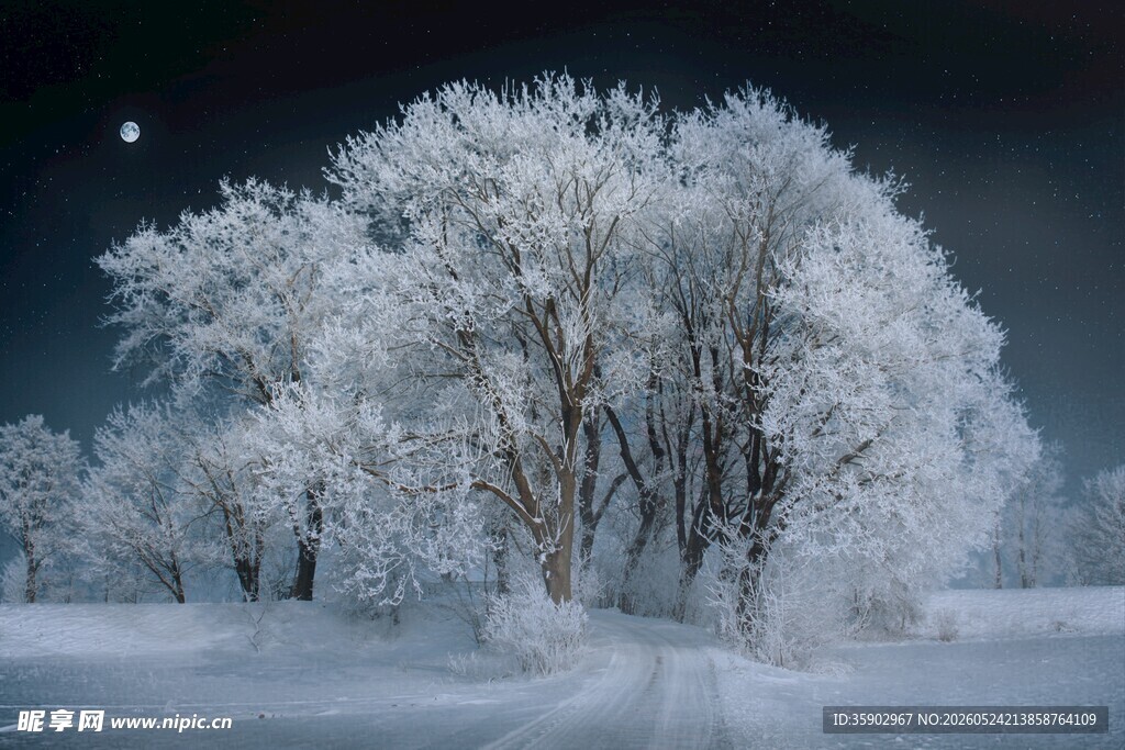 雪夜银树静谧冬日美景