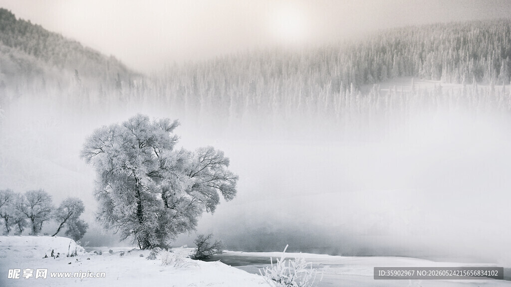 冬日雾凇雪景美景