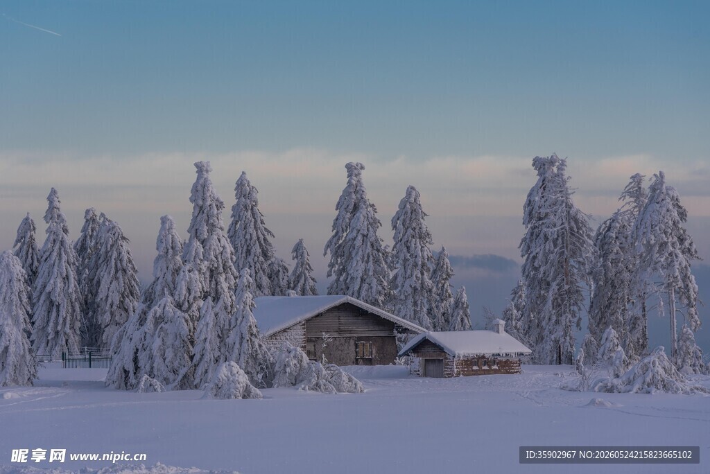 雪覆山林中的静谧小屋