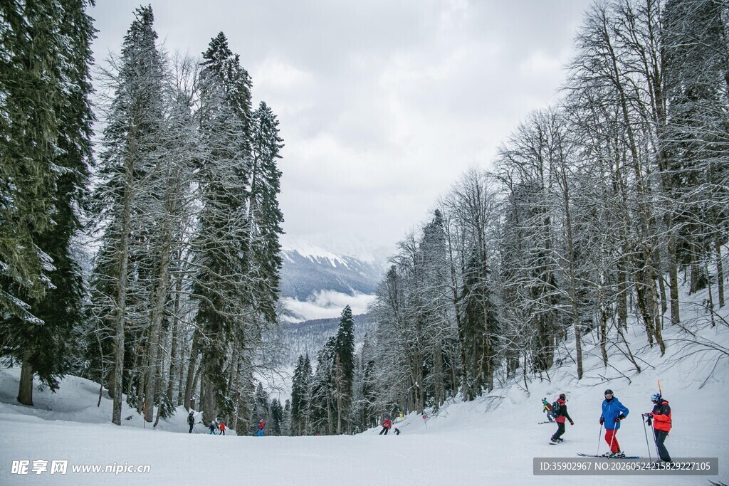 冬日山林中的滑雪者