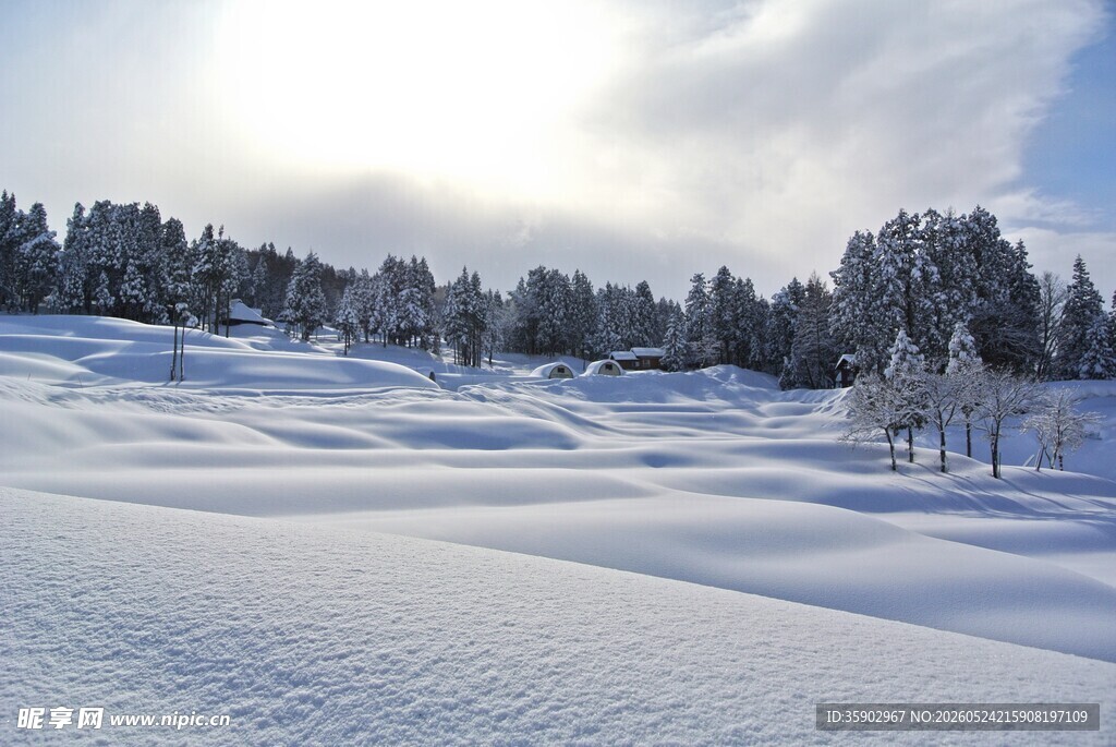 冬日雪景中的静谧山林