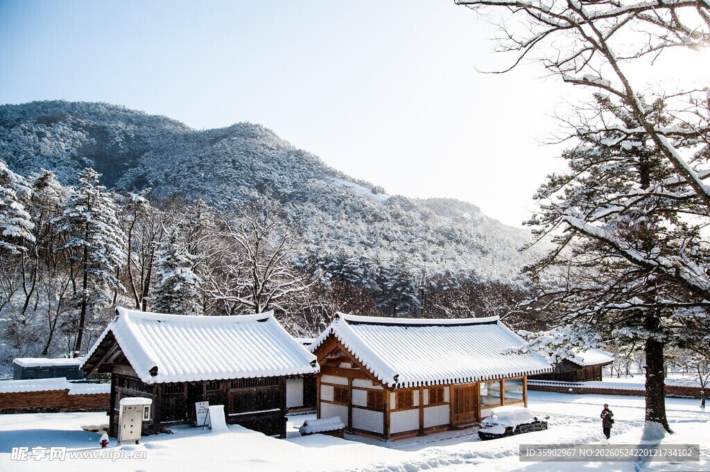 雪覆村落冬日静谧美景