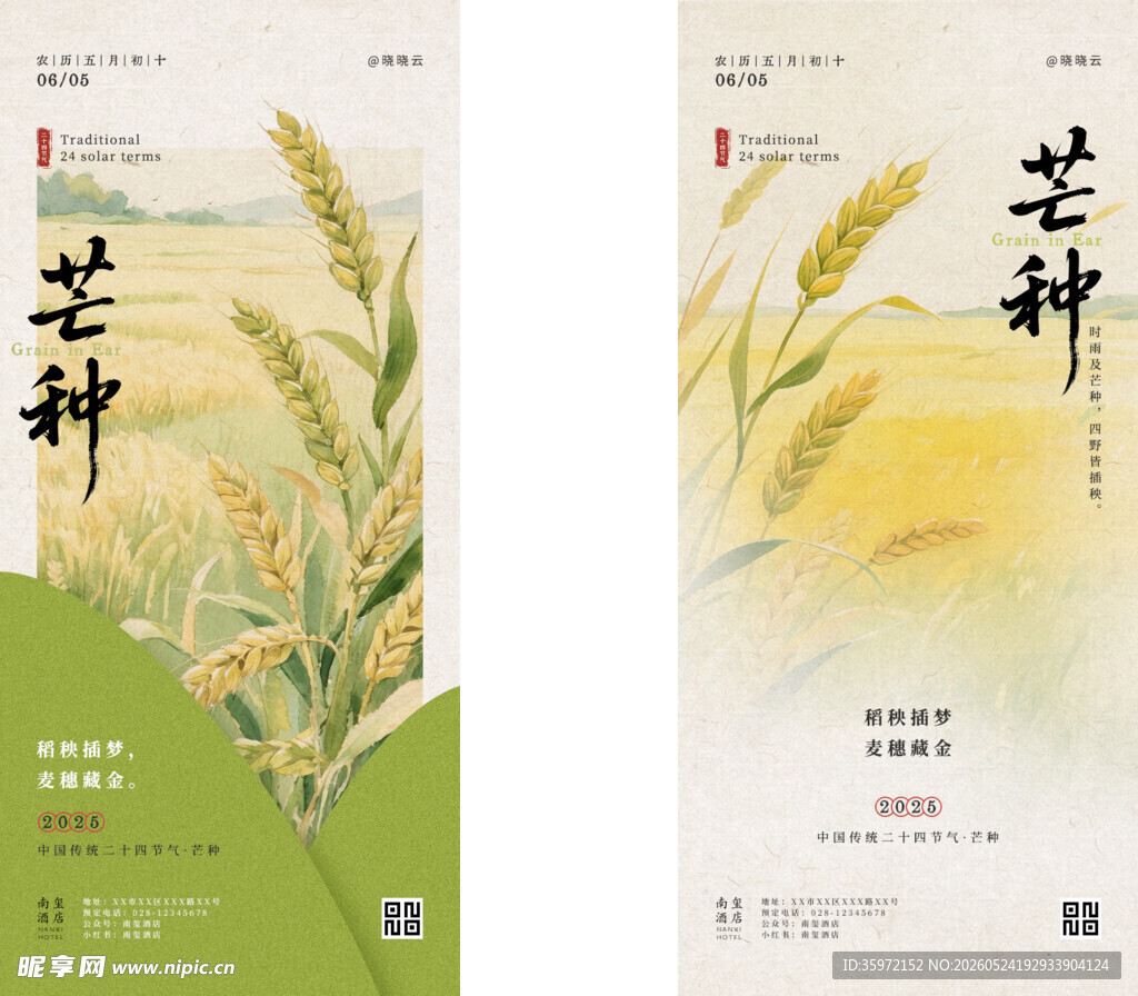 芒种 