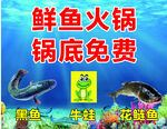 鲜鱼火锅锅底免费优惠