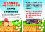 阿克苏苹果