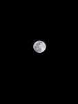 夜空中的皎洁明月