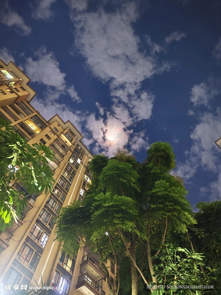 夜空下的绿植与楼宇